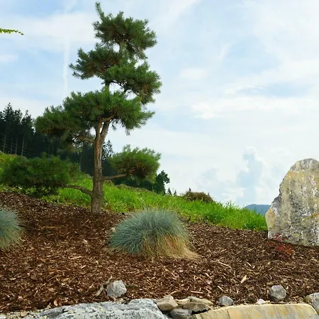 Anna Sankt Martin am Tennengebirge