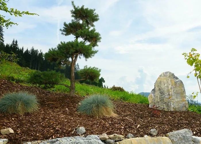 Anna 圣马丁安提奈各布里奇